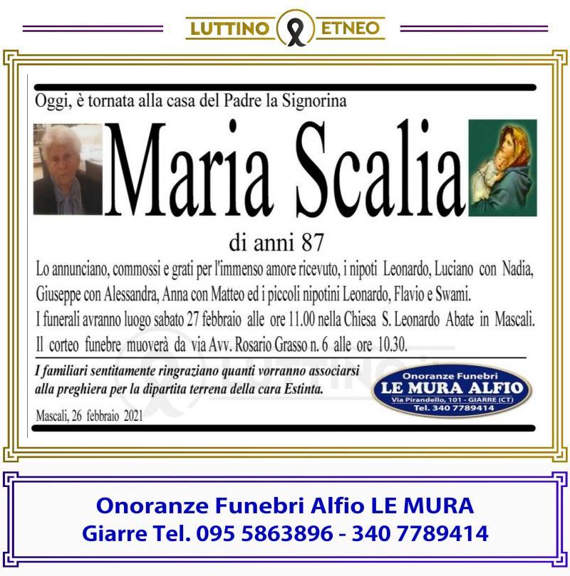 Maria  Scalia 